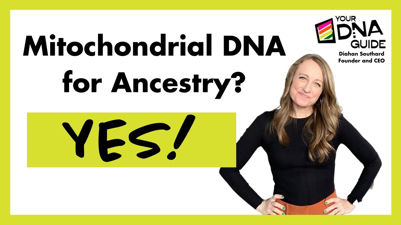 Understanding Mitochondrial DNA