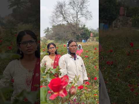 Wait😂😂 #comedy #funny #farmerstruggle #comedyvideos #entertainment #comedyskits #farmer