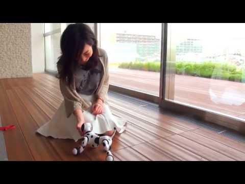 Hello! Zoomer（ハローズーマー）ぴーぴー編