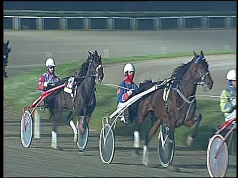 Trotto 27/11/2016 - 8ª corsa