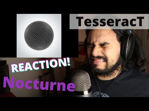 Professional Musician's FIRST TIME REACTION to TesseracT - Nocturne