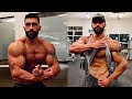 5 Weeks Out Men's Physique Update | Bodybuilding Prep Physique Update #Shorts
