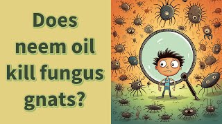Does neem oil kill fungus gnats?