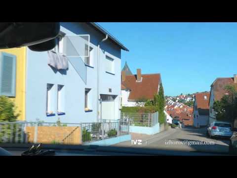 Street of Eisingen villadge