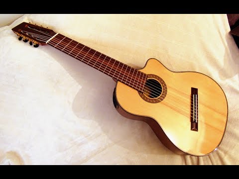 8-string Nylon Fanned Fret Guitar Review, Agile Instruments