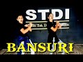 Bansuri Dance Video Hum Do Hamare Do RajKummar Kriti Sanon STDI