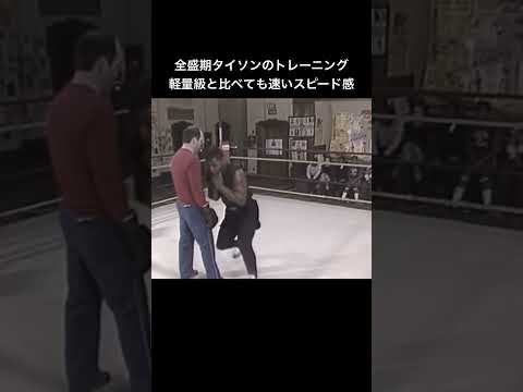 #マイクタイソン #ボクシング