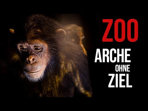 Zoos - zwischen Attraktion und Artenschutz