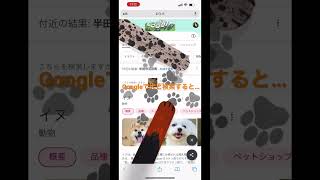 Googleで犬と検索すると…