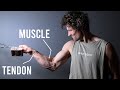 How To Build Finger Strength (SCIENCE EXPLAINED) DEFAULT Thumbnail