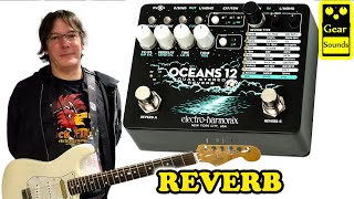 Electro-Harmonix Oceans 12 - What To Know & Where To Buy Electro-Harmonix Oceans 12 - What To Know & Where To Buy