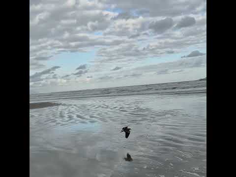 #boraceia #praia #Bertioga #sp #saopaulo #mar