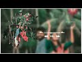 Nee Paarkum Paarvai Kanodu Song Tamil Whatsapp Status