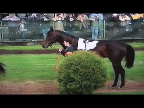 Nagroda Jaroszówki - 13.05.1995 - Punkt (Renvers - Padwa)