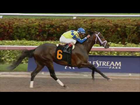 Rising Handicap Horses Contest 2017 Fred Hooper