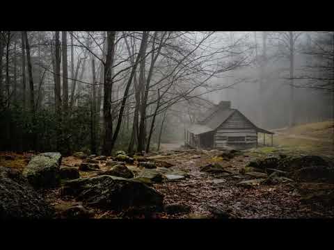 Расслабляющий дождь и гроза в туманном лесу - звуки дождя и грома для сна