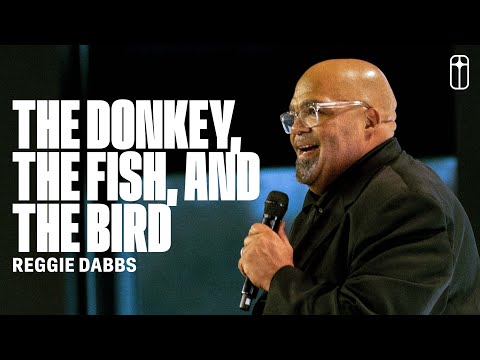 The Donkey, The Fish, and The Bird | Reggie Dabbs