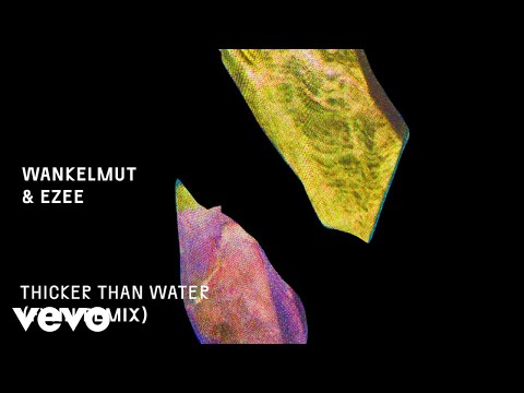 Wankelmut, EZEE - Thicker Than Water (Fynn Remix - Official Audio)