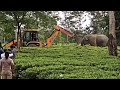 VIRAL Elephant Stands Against JCB To Protect Its Forest In Assam India