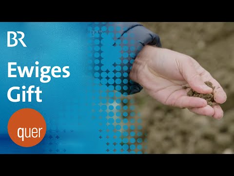 PFOA-Folgen: Ewiges Warten dank ewiger Chemikalien? | quer vom BR