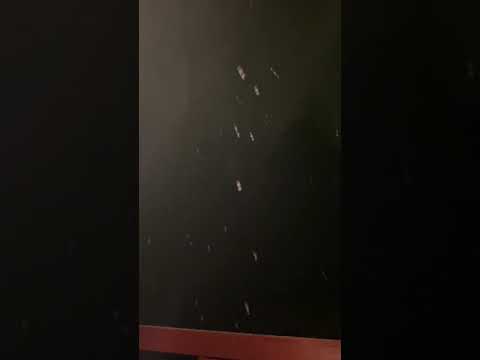 Snow In Gwinnett County Ga. Sat. Feb 2-6-2021.❄️