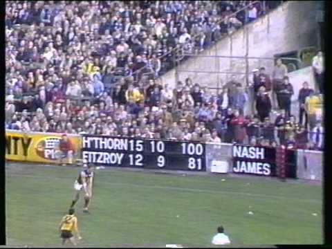 The History of the VFL  1983 - 85