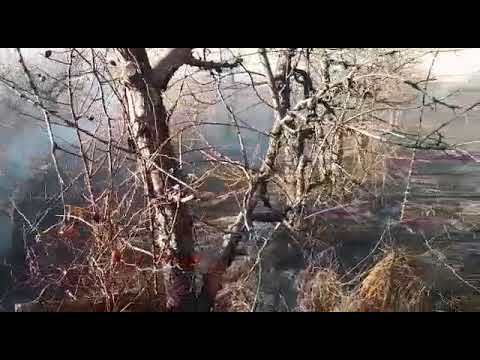 Incendiu livada Bogați - Argeș