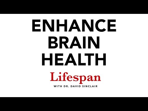 The Science of Keeping the Brain Healthy | Lifespan with Dr. David Sinclair #7