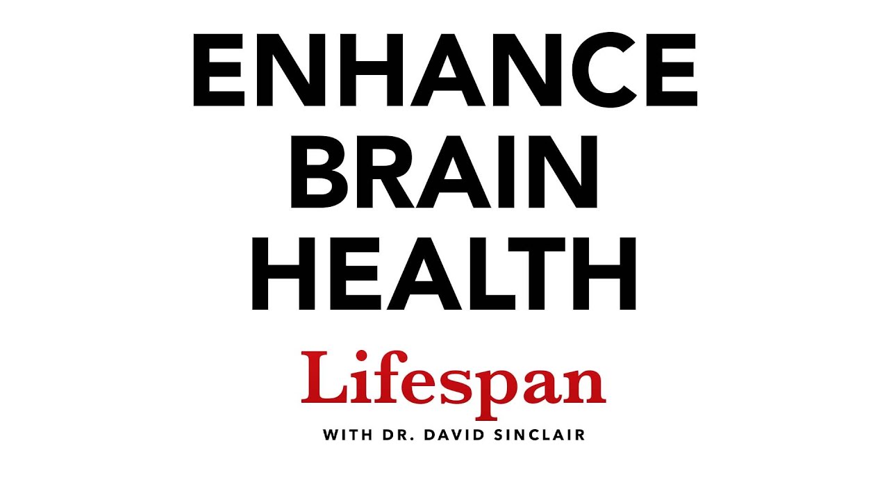 The Science of Keeping the Brain Healthy | Lifespan with Dr. David Sinclair #7