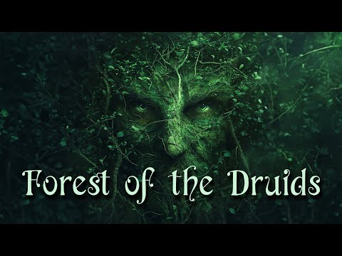 Forest of the Druids 🌿 Celtic Fantasy Music 🌲 Enchanting Wiccan, Pagan Music 🌳