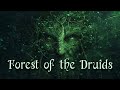 Forest of the Druids 🌿 Celtic Fantasy Music 🌲 Enchanting Wiccan, Pagan Music 🌳