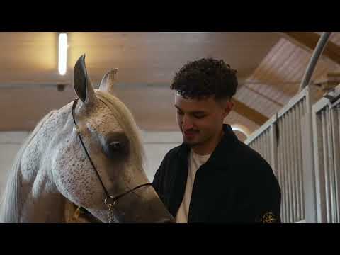 A Family of Champions - Budhen's Stud, an Arabian horse farm in Belgium