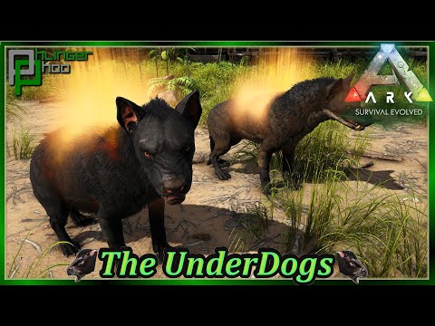 Getting started on the Hyaena Pack in Ark's The Underdogs 18