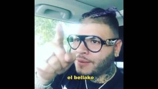 Farruko cantando Blockia ft bad bunny, Arcangel recibe premio de Tali, nicky jam junto a plan b