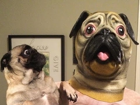 ...あなたは誰？ (...Who Are You?)