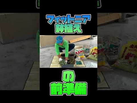 フィットニア メンテナンス 多年生常緑葉