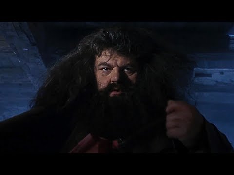 A visit from Rubeus Hagrid