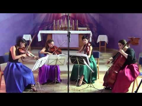 J. Haydn - String quartet op. 76, n. 2 Fifths (first movement)