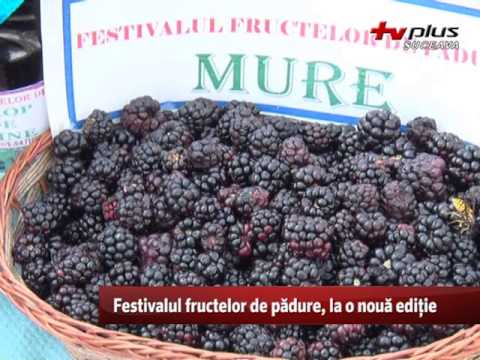 Festivalul fructelor de padure la o noua editie