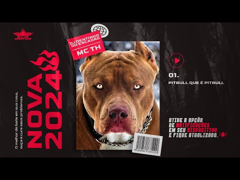 MC TH - PITBULL QUE É PITBULL [ PROD. DJ DENTINHO DO ESCADÃO ]