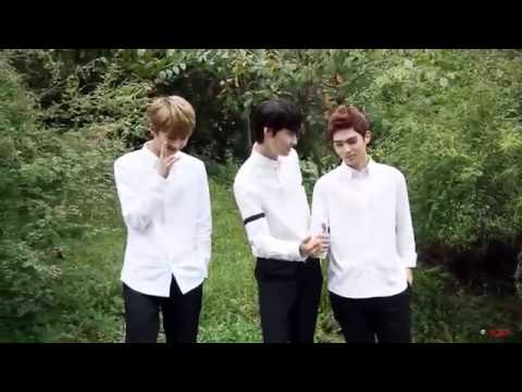 [PT-BR] UP10TION U10SECONDS 138sec - Cápsula da tensão - O último Kaloula borealis