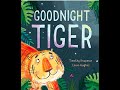 Goodnight Tiger (Kids books read aloud by the Odd Socks Nanny family)