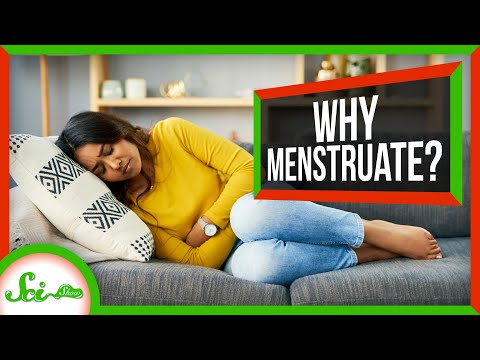 ほとんどの哺乳類には生理がないのに、なぜ人には生理があるのか？ (Why Do People Have Periods When Most Mammals Don't?)