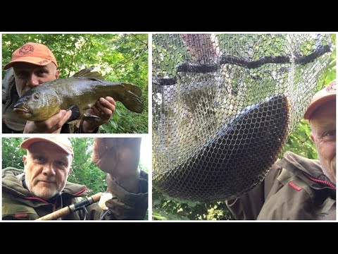 🎣 Tench fishing to begin the working week