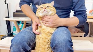 日本一爪切られがお上手な猫が決して譲れないものが...