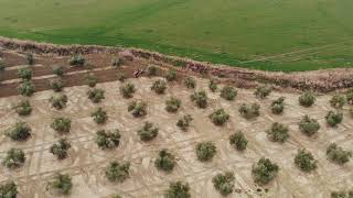 Ruta Mozarabe camino del Judio Córdoba-Santa Cruz (Córdoba) Gravel/MTB 