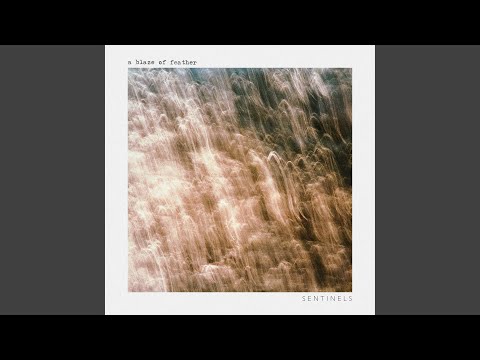 Video thumbnail for Sentinels