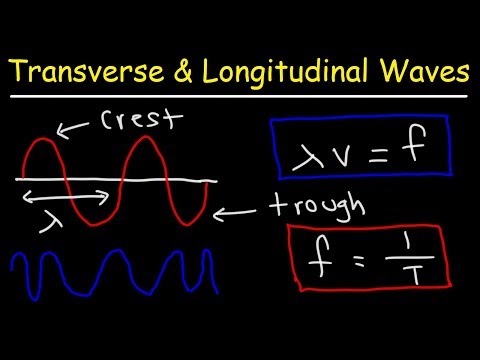 YouTube video about: What waves are transverse waves that disturb electromagnetic fields?