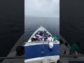 Muslim People Performing Namaz On A Ship