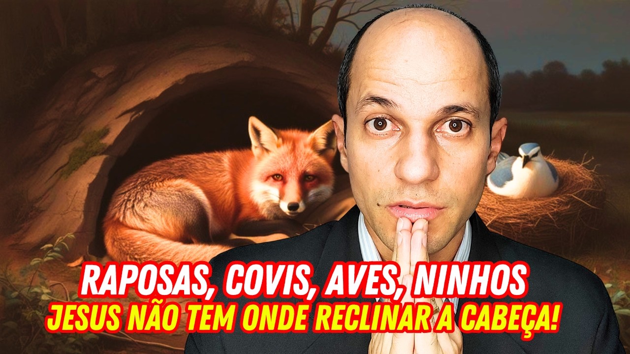 The meaning of Foxes, dens, birds, nests and Jesus having nowhere to lay his head!